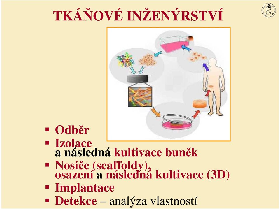 (scaffoldy), osazení a následná