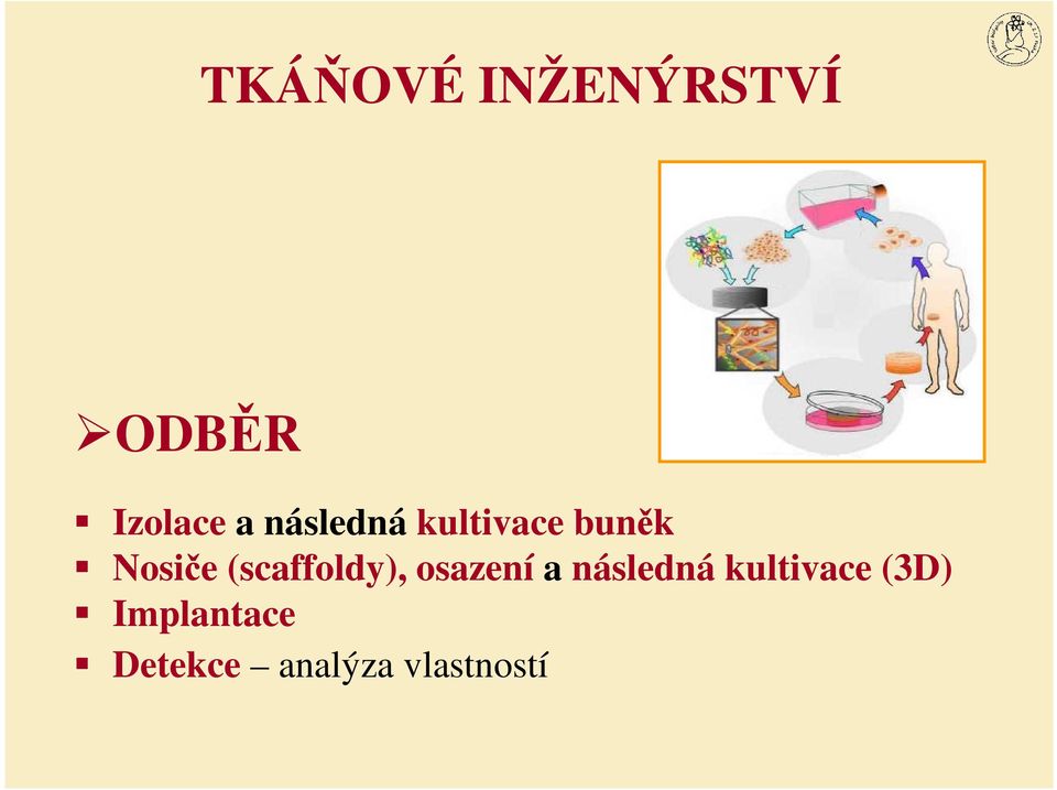 (scaffoldy), osazení a následná
