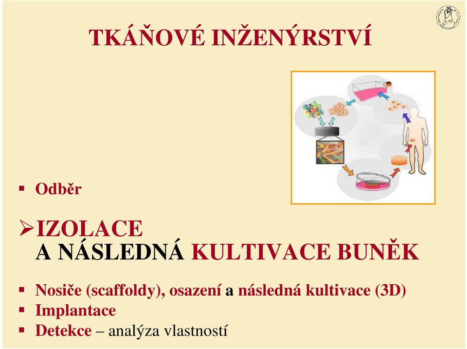 (scaffoldy), osazení a následná