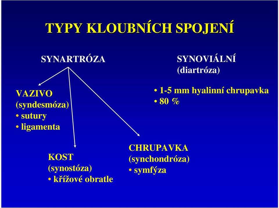 křížové obratle CHRUPAVKA (synchondróza)