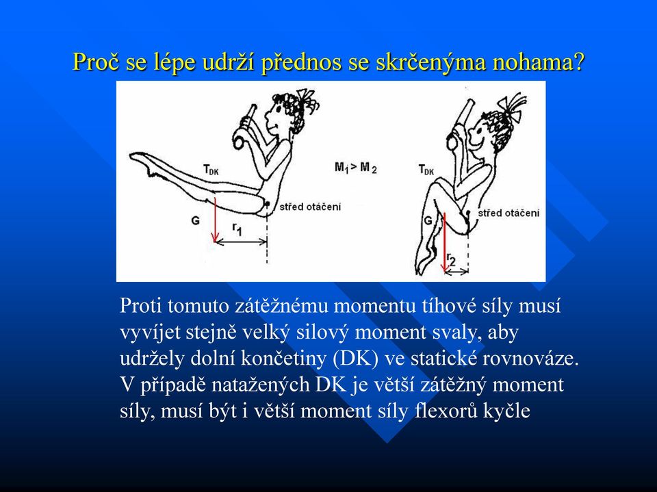 silový moment svaly, aby udržely dolní končetiny (DK) ve statické