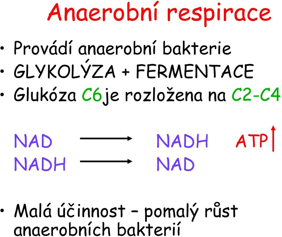 C6je rozložena na C2-C4 NAD NADH ATP NADH