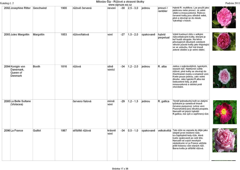 2092 Josephine Ritter Geschwind 1900 růžově červená 2093 Jules Margottin Margottin 1853 růžovofialová -27 1,5-2,0 opakovaně hybrid Volně kvetoucí s velkými růžovofialovými květy, kterými je keř hustě