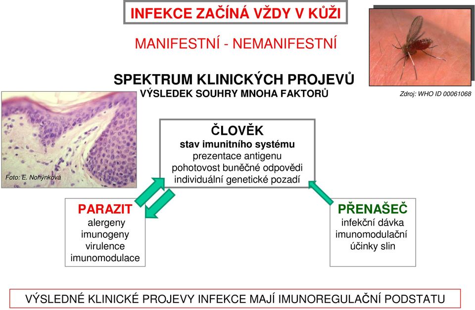 Nohýnková ČLOVĚK stav imunitního systému prezentace antigenu pohotovost buněčné odpovědi individuální