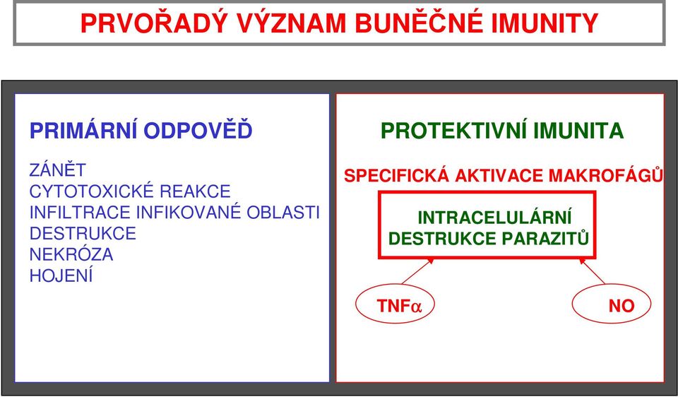 DESTRUKCE NEKRÓZA HOJENÍ PROTEKTIVNÍ IMUNITA