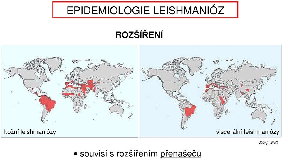 viscerální leishmaniózy