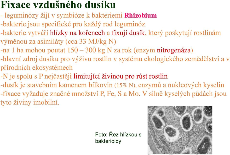 výživu rostlin v systému ekologického zemědělství a v přírodních ekosystémech -N je spolu s P nejčastěji limitující živinou pro růst rostlin -dusík je stavebním kamenem