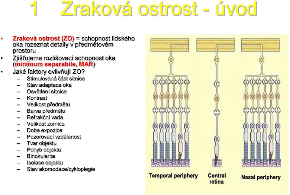 Stimulovaná část sítnice Stav adaptace oka Osvětlení sítnice Kontrast Velikost předmětu Barva předmětu Refrakční