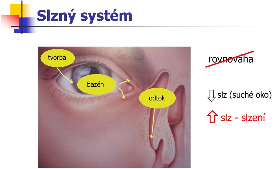 bazén odtok slz