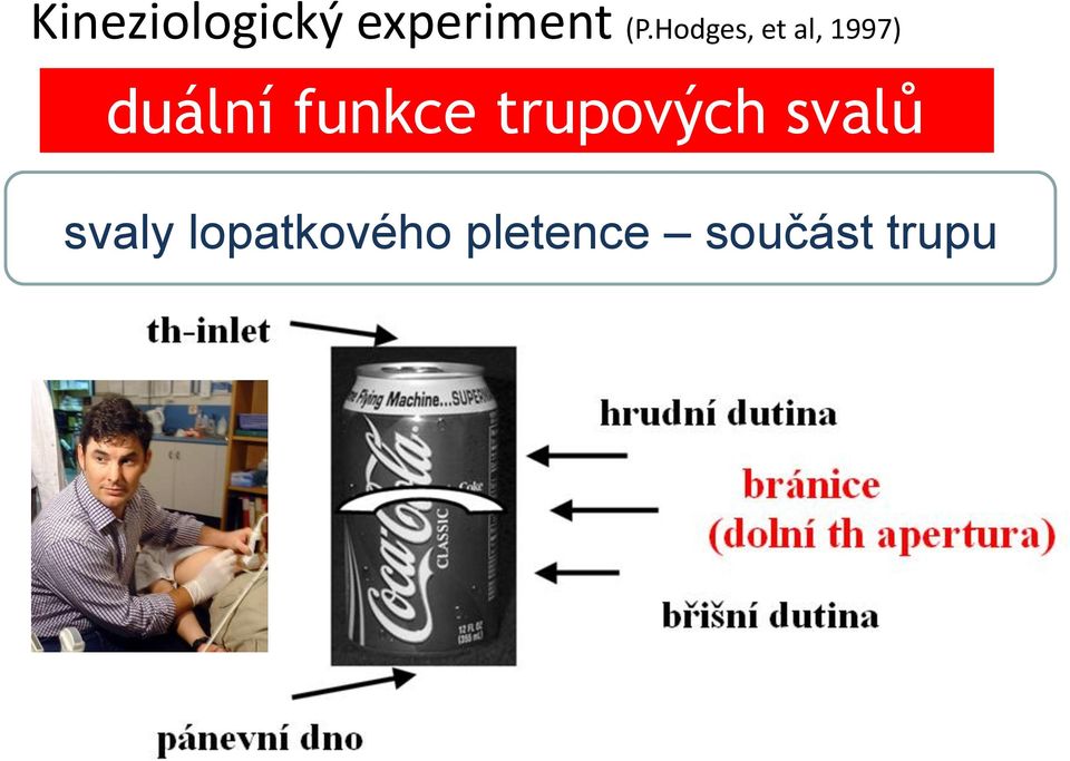 funkce trupových svalů svaly