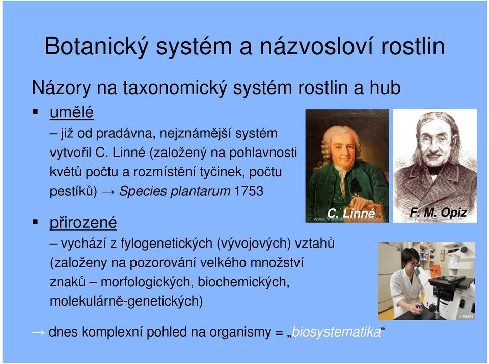 Linné (založený na pohlavnosti květů počtu a rozmístění tyčinek, počtu pestíků) Species plantarum 1753 přirozené