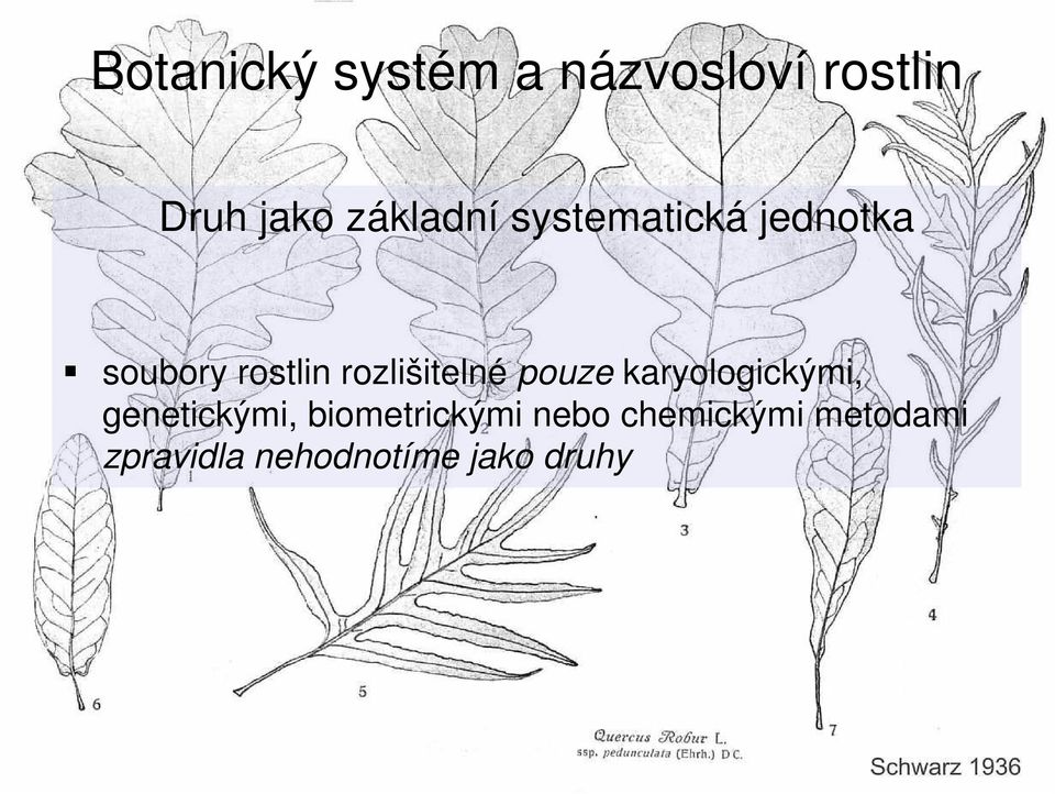 rozlišitelné pouze karyologickými, genetickými,