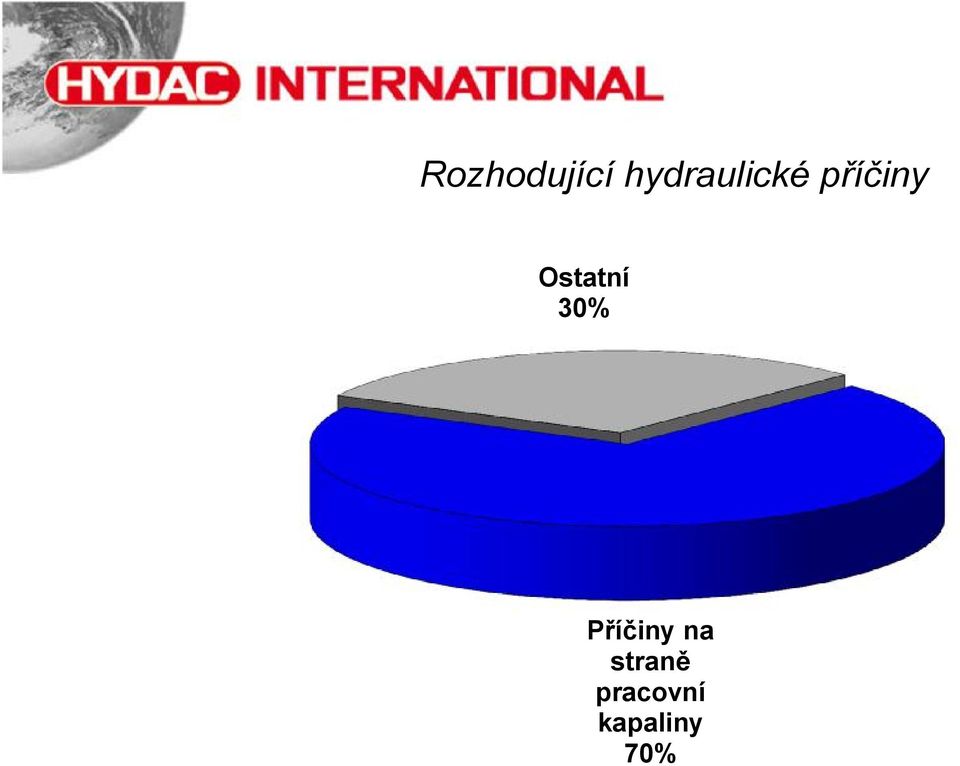 Ostatní 30% Příčiny