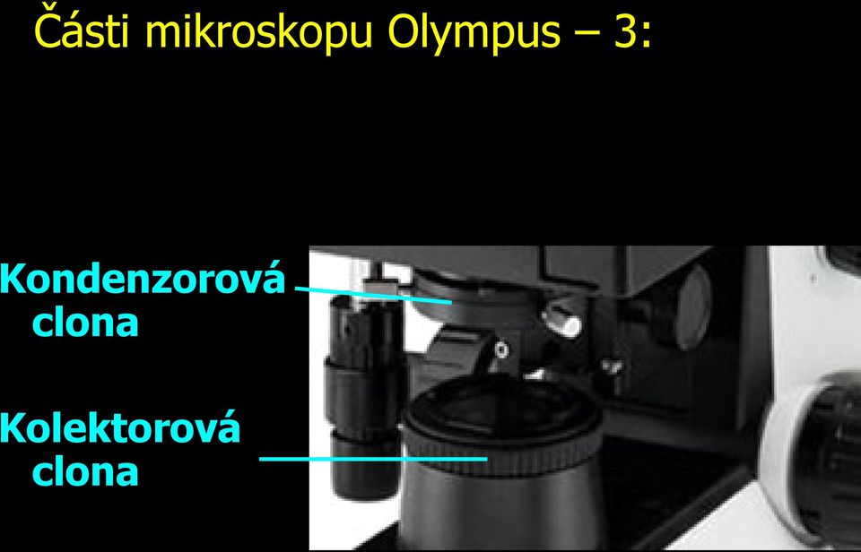 Olympus 3: