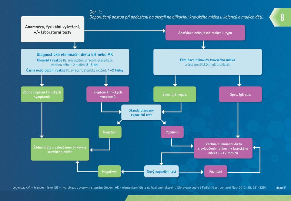zvracení, atopický ekzém): 1 2 týdny Eliminace bílkoviny kravského mléka a test specifických IgE protilátek Žádné zlepšení klinických symptomů Zlepšení klinických symptomů Spec. IgE negat. Spec. IgE poz.