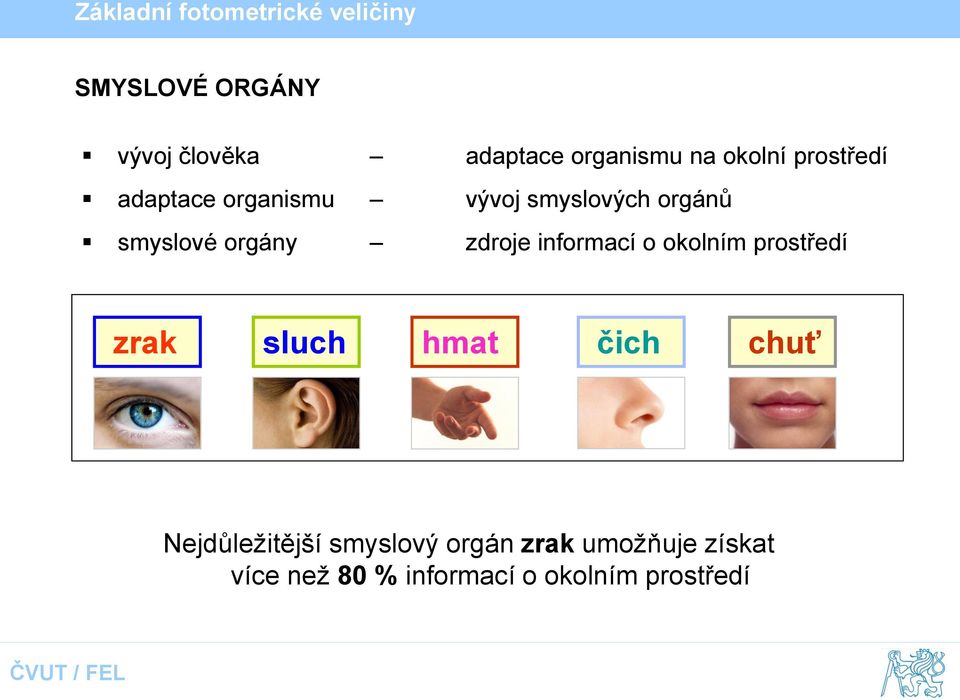 informací o okolním prostředí zrak sluch hmat čich chuť Nejdůležitější