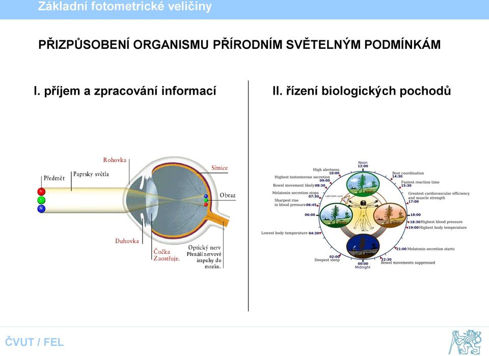 I. příjem a zpracování