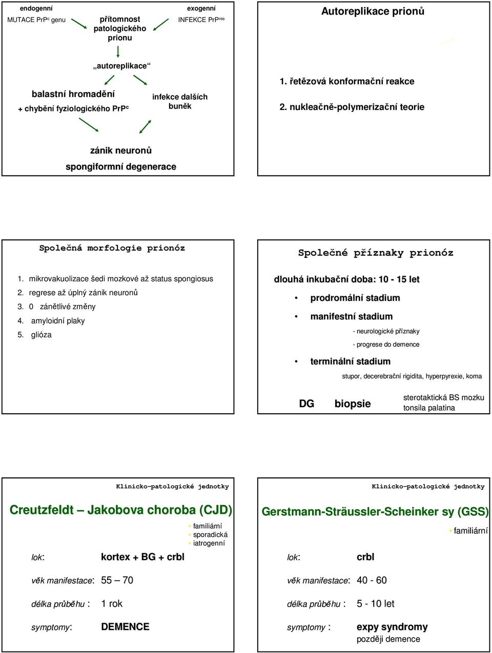 mikrovakuolizace šedi mozkové až status spongiosus 2. regrese až úplný zánik neuronů 3. 0 zánětlivé změny 4. amyloidní plaky 5.