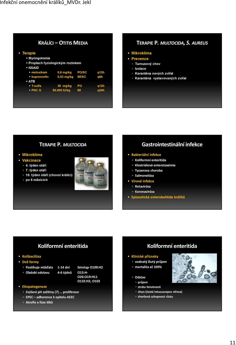 týden stáří (chovní králíci) po 6 měsících akteriální infekce Koliformní enteritida Klostridiová enterotoxémie yzzerova choroba Salmonelóza Virové infekce Rotaviróza Koronaviróza Gastrointestinální