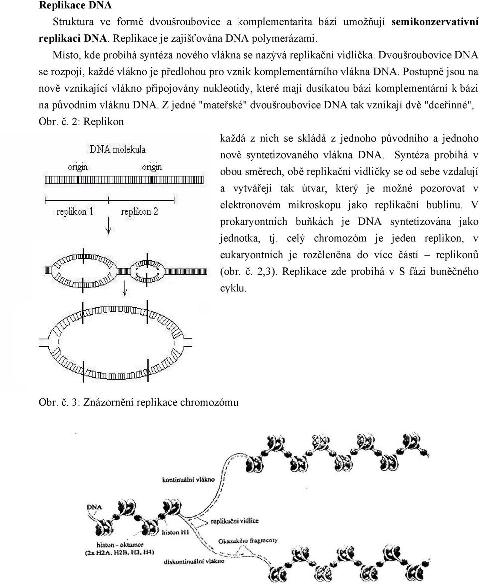 Postupně jsou na nově vznikající vlákno připojovány nukleotidy, které mají dusíkatou bázi komplementární k bázi na původním vláknu DNA.