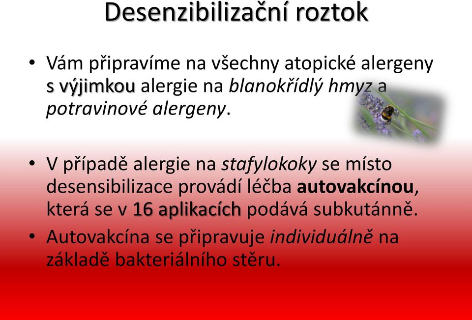 V případě alergie na stafylokoky se místo desensibilizace provádí léčba