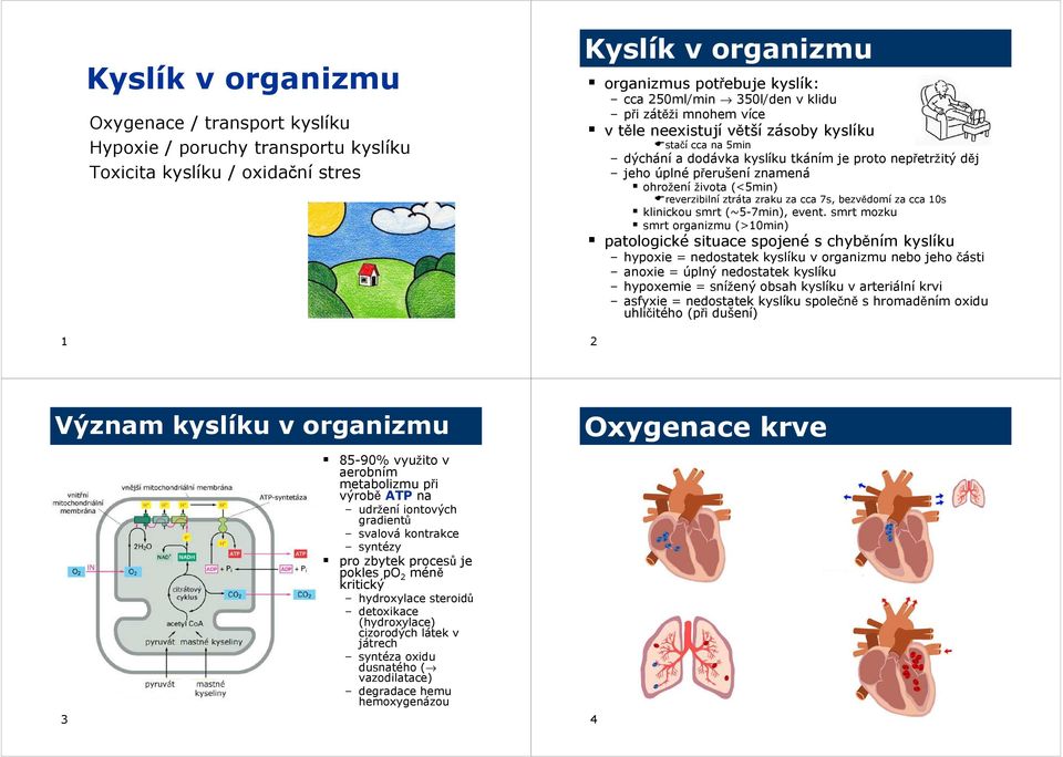 reverzibilní ztráta zraku za cca 7s, bezvědomí za cca 10s klinickou smrt (~5-7min), event.