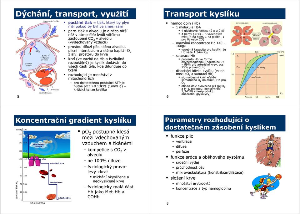 prostoru do krve krví (ve vazbě na Hb a fyzikálně rozpuštěný) je kyslík dodáván do všech částí těla, kde difunduje do tkání rozhodující je množství v mitochondriích pro dostatečnou produkci ATP je