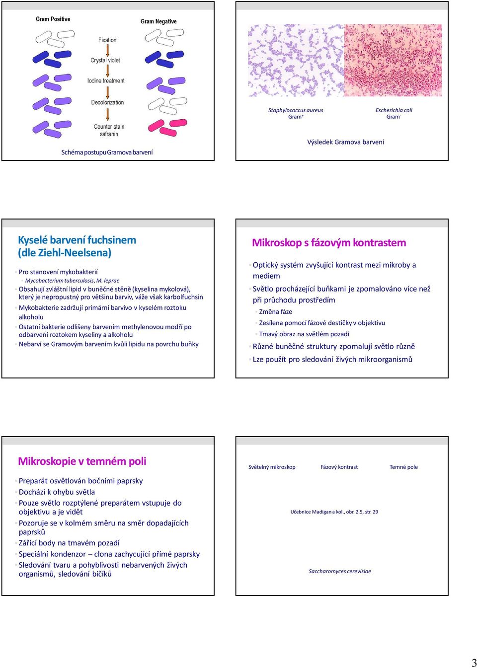 leprae Obsahují zvláštní lipid v buněčné stěně (kyselina mykolová), který je nepropustný pro většinu barviv, váže však karbolfuchsin Mykobakterie zadržují primární barvivo v kyselém roztoku alkoholu