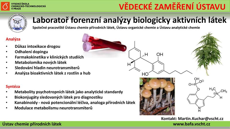 neurotransmiterů Analýza bioaktivních látek z rostlin a hub Syntéza 1 Metabolity psychotropních 2 látek jako analytické standardy Biokonjugáty sledovaných látek