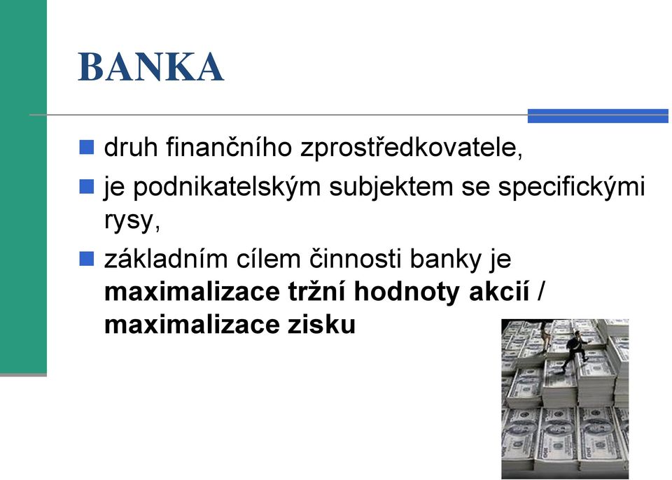 rysy, základním cílem činnosti banky je