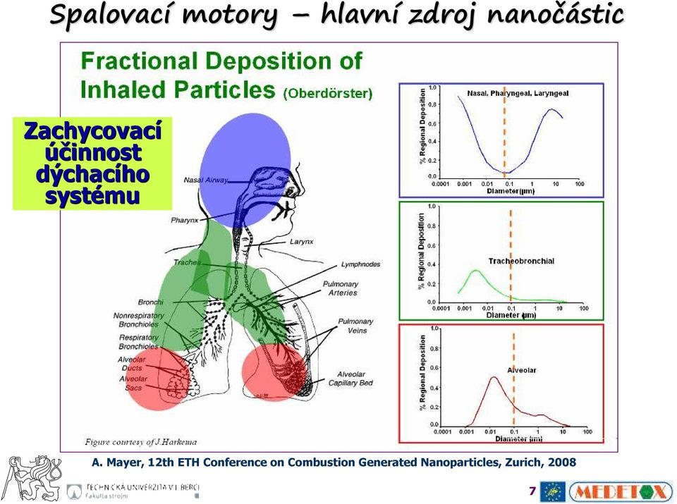 A. Mayer, 12th ETH Conference on