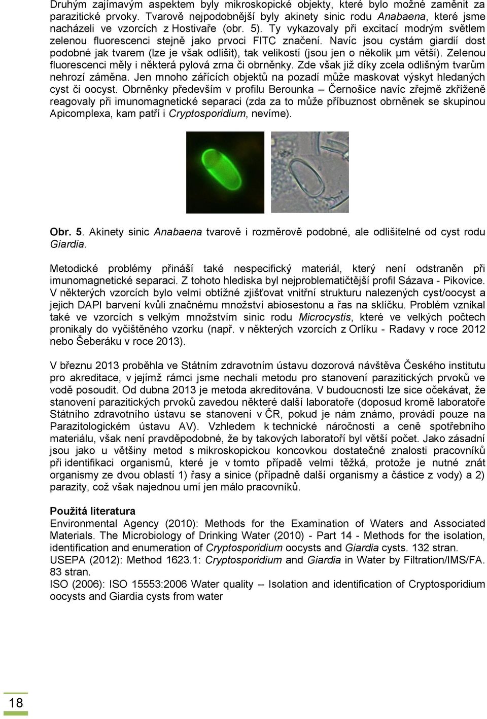 Ty vykazovaly při excitací modrým světlem zelenou fluorescenci stejně jako prvoci FITC značení.