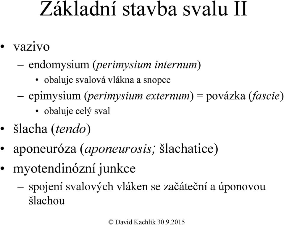 (fascie) obaluje celý sval šlacha (tendo) aponeuróza (aponeurosis;