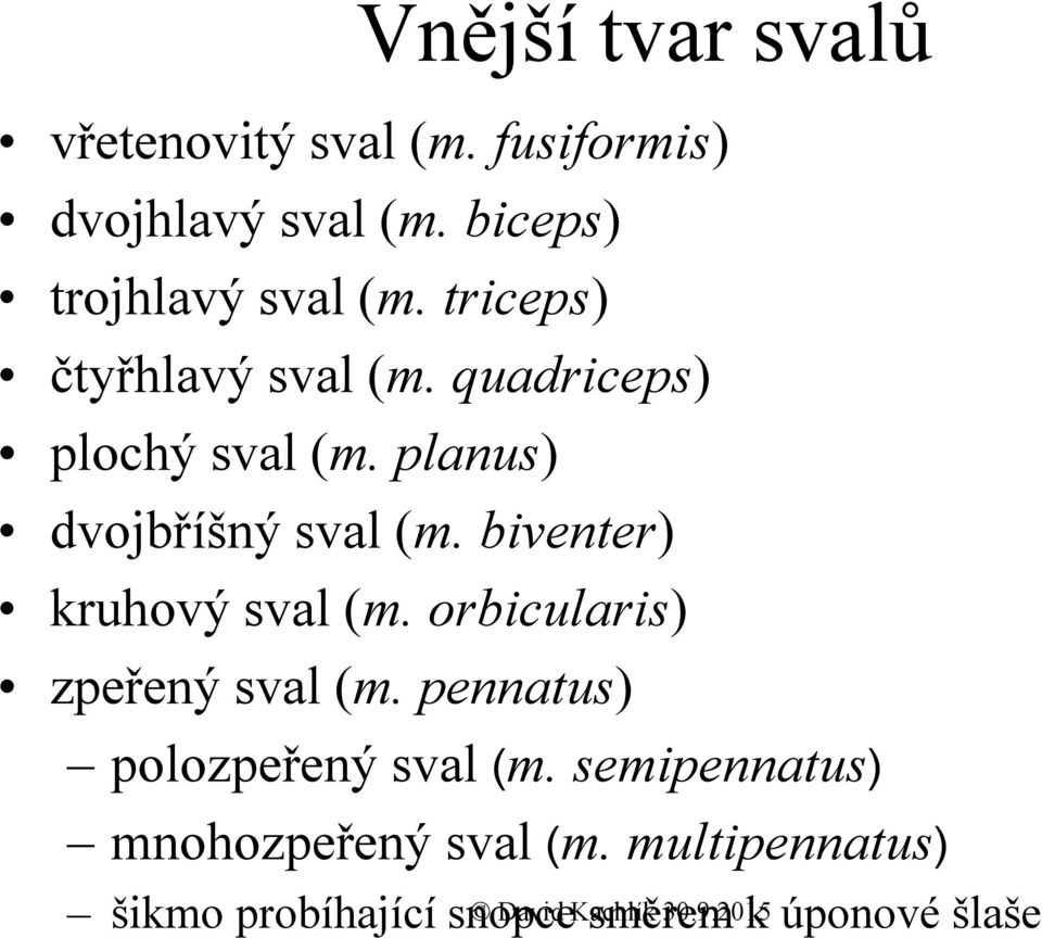 biventer) kruhový sval (m. orbicularis) zpeřený sval (m. pennatus) polozpeřený sval (m.