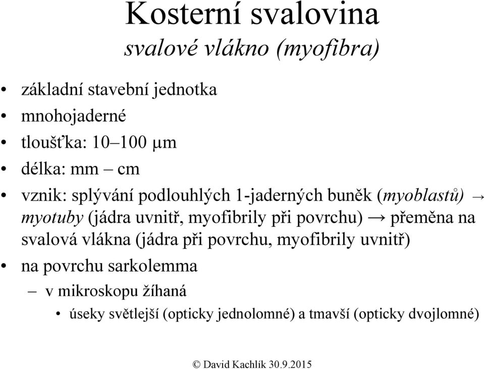 uvnitř, myofibrily při povrchu) přeměna na svalová vlákna (jádra při povrchu, myofibrily uvnitř)