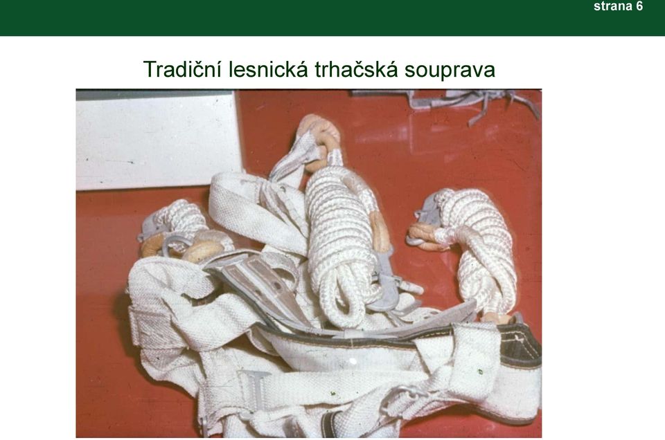 trhačská