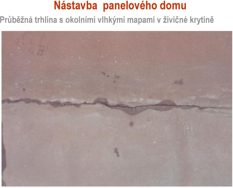 s okolními vlhkými