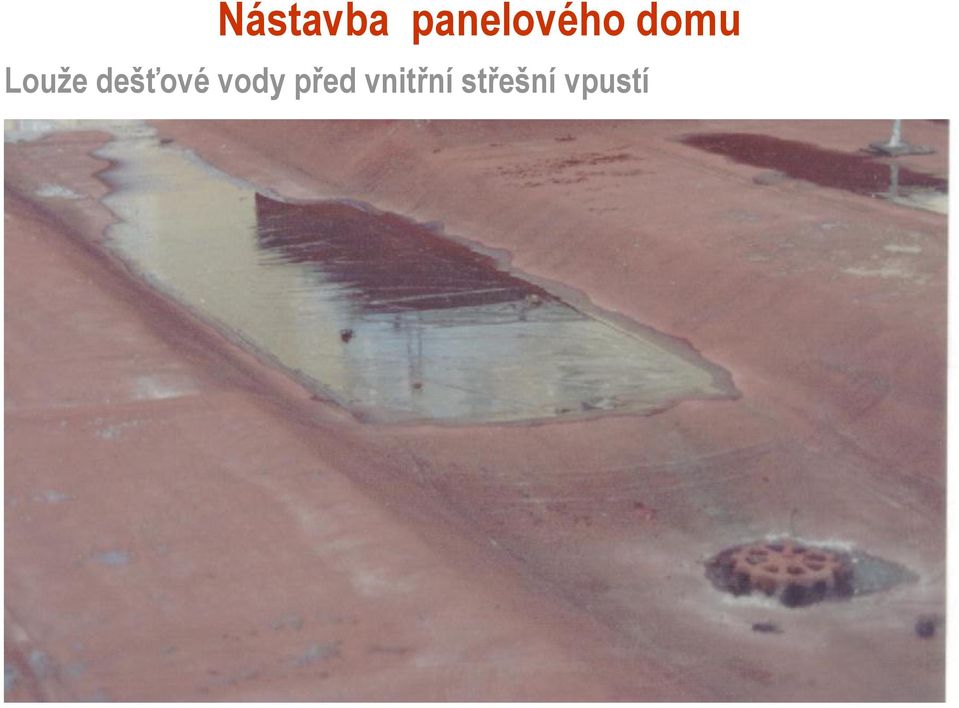 Louže dešťové