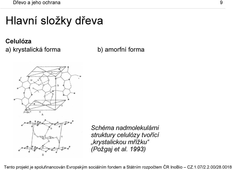 Schéma nadmolekulárni struktury celulózy