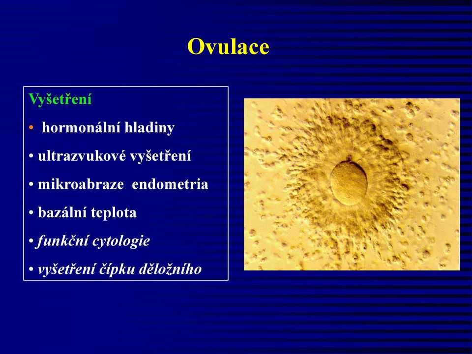 mikroabraze endometria bazální