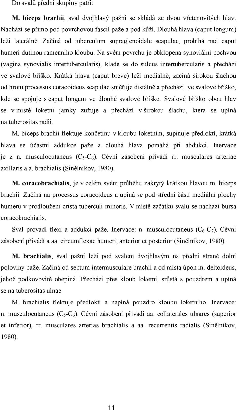 Na svém povrchu je obklopena synoviální pochvou (vagina synovialis intertubercularis), klade se do sulcus intertubercularis a přechází ve svalové bříško.