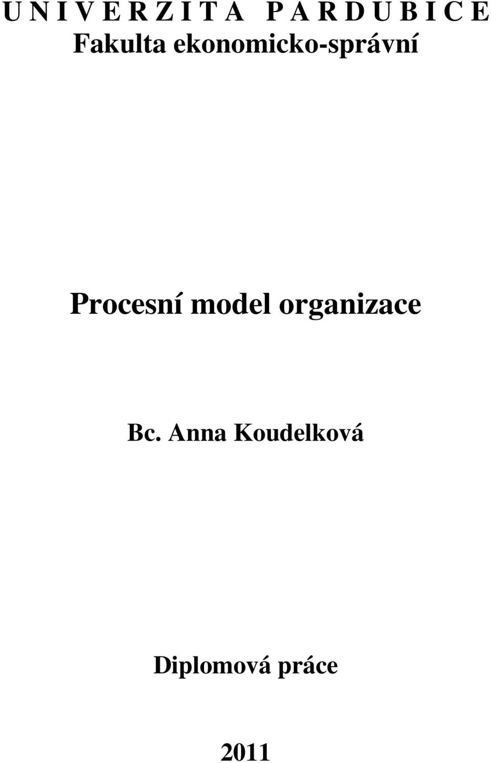Procesní model organizace Bc.