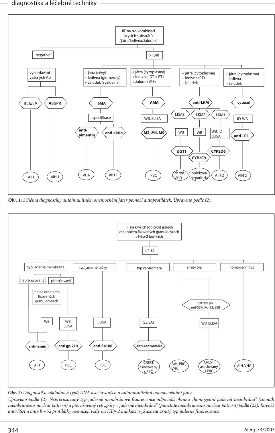 VHD poléková hepatitida AIH 2 AIH 2 Obr. 1: Schéma diagnostiky autoimunitních onemocnění jater pomocí autoprotilátek. Upraveno podle (2).