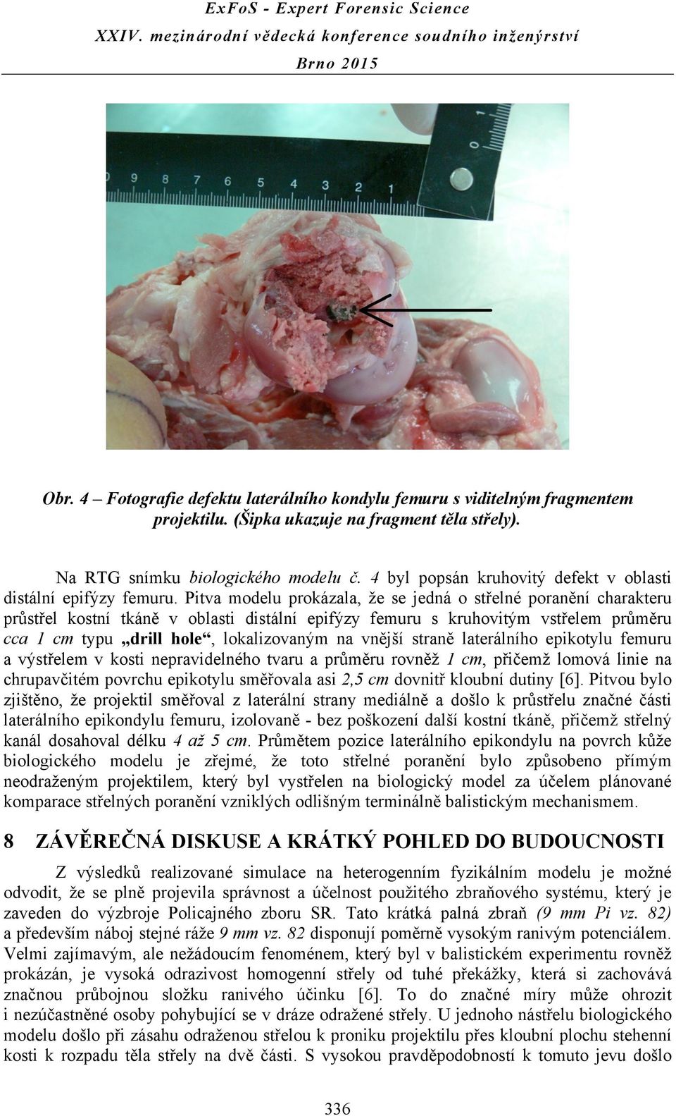 Pitva modelu prokázala, že se jedná o střelné poranění charakteru průstřel kostní tkáně v oblasti distální epifýzy femuru s kruhovitým vstřelem průměru cca 1 cm typu drill hole, lokalizovaným na