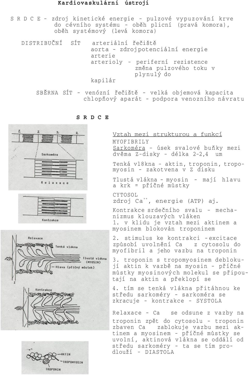 venozního návratu S R D C E Vztah mezi strukturou a funkcí MYOFIBRILY Sarkoméra - úsek svalové buňky mezi dvěma Z-disky - délka 2-2,4 um Tenká vl8kna - aktin, troponin, tropomyosin - zakotvena v Z