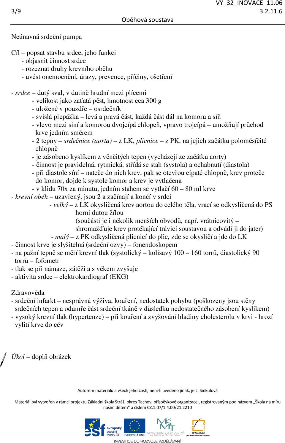 dutině hrudní mezi plícemi - velikost jako zaťatá pěst, hmotnost cca 300 g - uložené v pouzdře osrdečník - svislá přepážka levá a pravá část, každá část dál na komoru a síň - vlevo mezi síní a