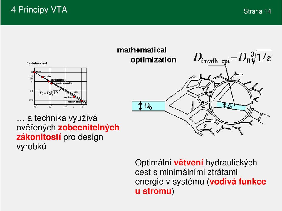 Optimální větvení hydraulických cest s