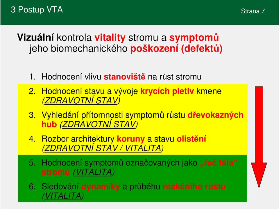 Vyhledání přítomnosti symptomů růstu dřevokazných hub (ZDRAVOTNÍ STAV) 4.