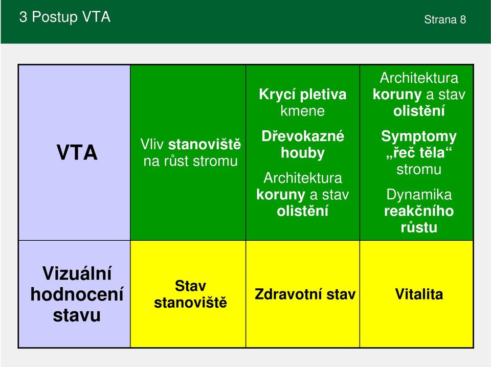 Architektura koruny a stav olistění Symptomy řeč těla stromu