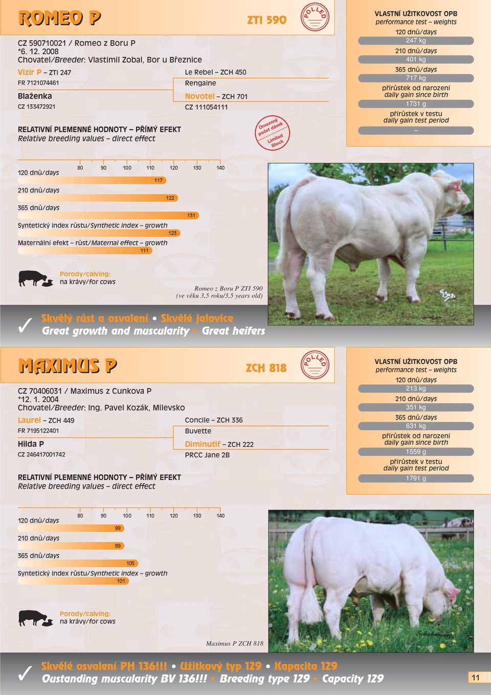 POLLED 247 kg 401 kg 717 kg 1731 g 117 122 123 Maternální efekt rûst/maternal effect growth 111 131 Romeo z Boru P ZTI 590 (ve věku 3,5 roku/3,5 years old) Skvûl rûst a osvalení Skvûlé jalovice Great